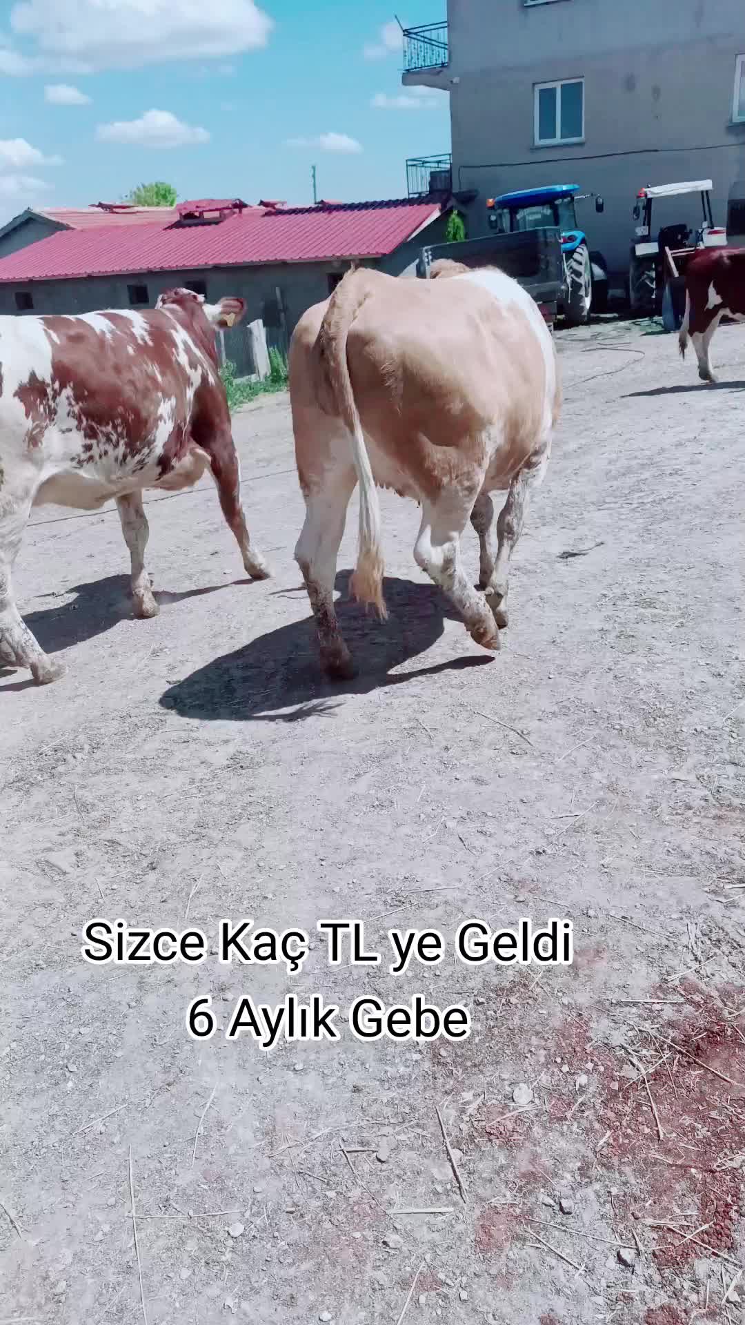 @BOZKURTLAR_TARIM.03
