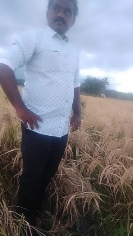 @nellai arunachalam