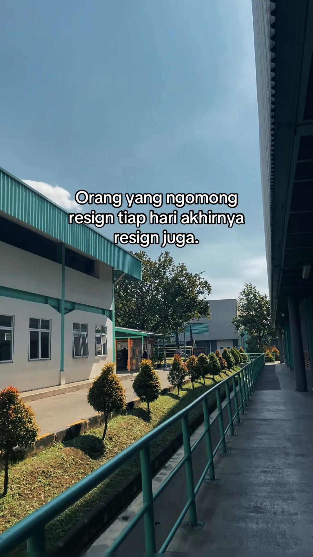 @arin🎧