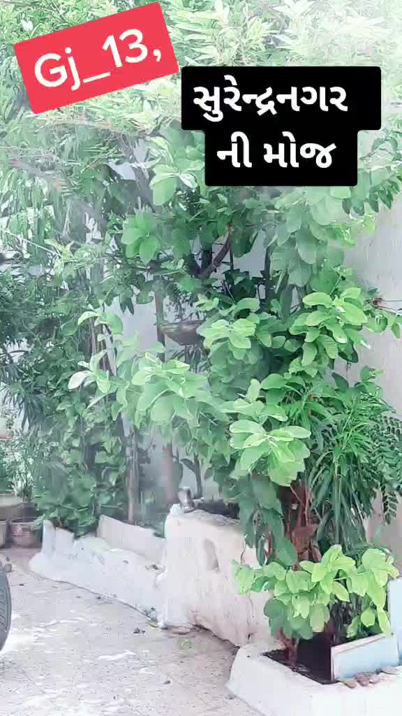 @๐.Narendr_Thakor.๐