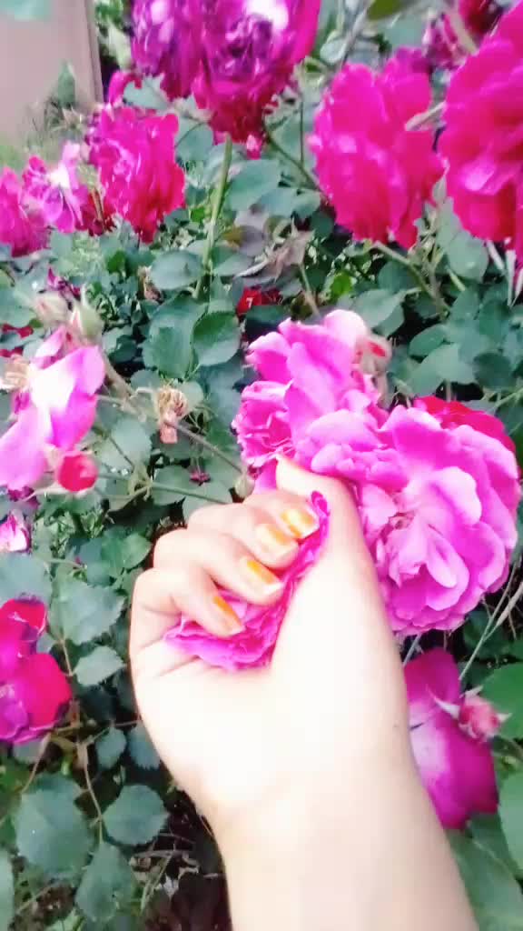 @@komalrana123