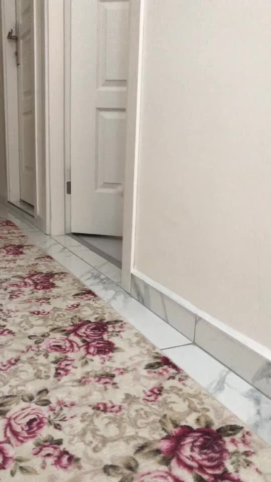 @poncik 🐱