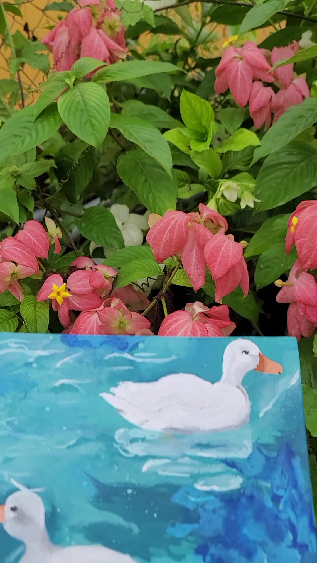 @davia.art