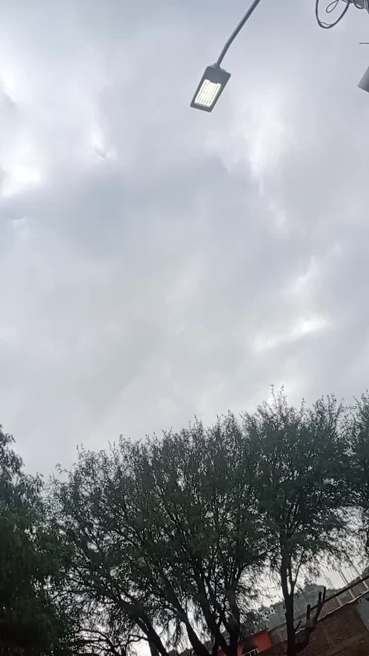 @Blanca Cabrera688