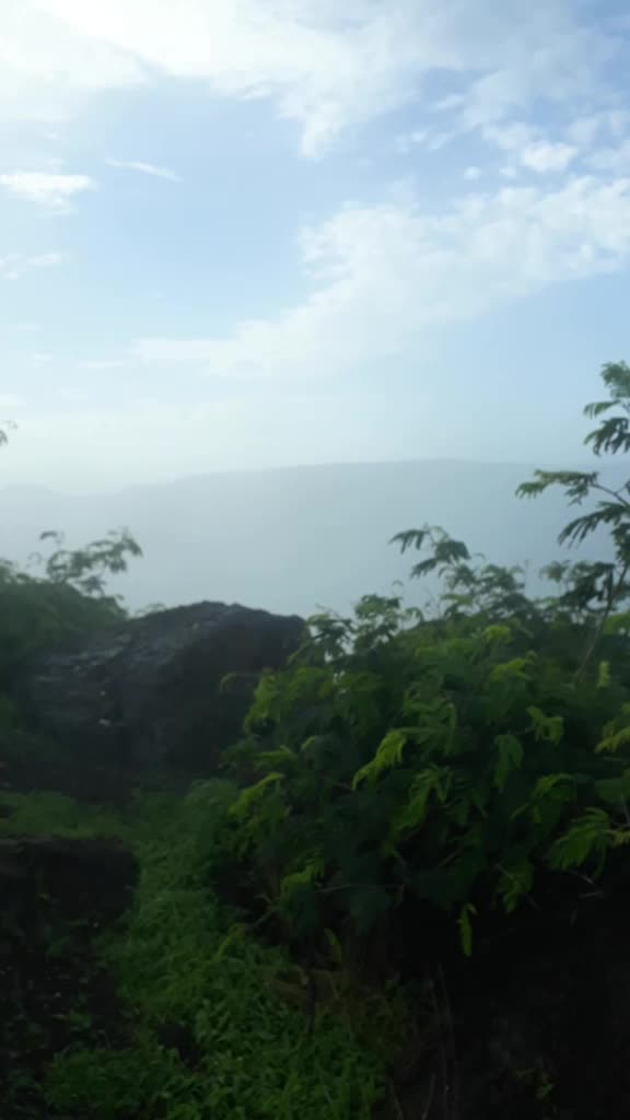 @Rahul Kale Satarkar