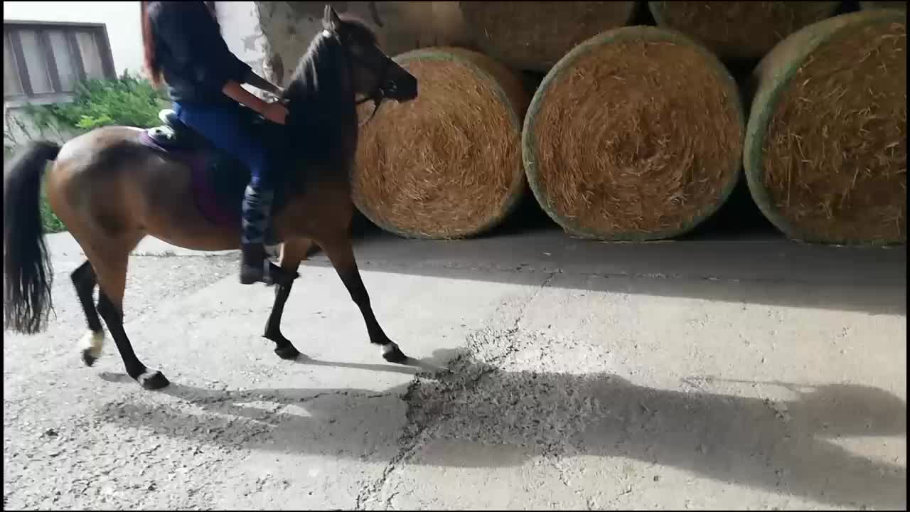 @Farmgirl_jasmin