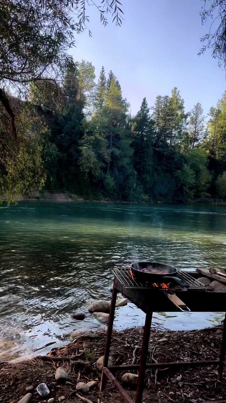 @travelerbedir