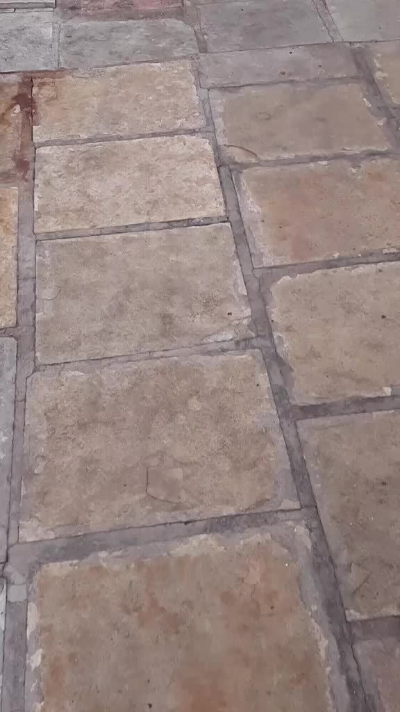 @sangy45