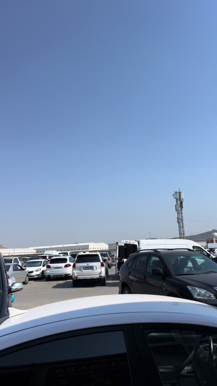 @Sədərək TM Gül mağazası Topdan