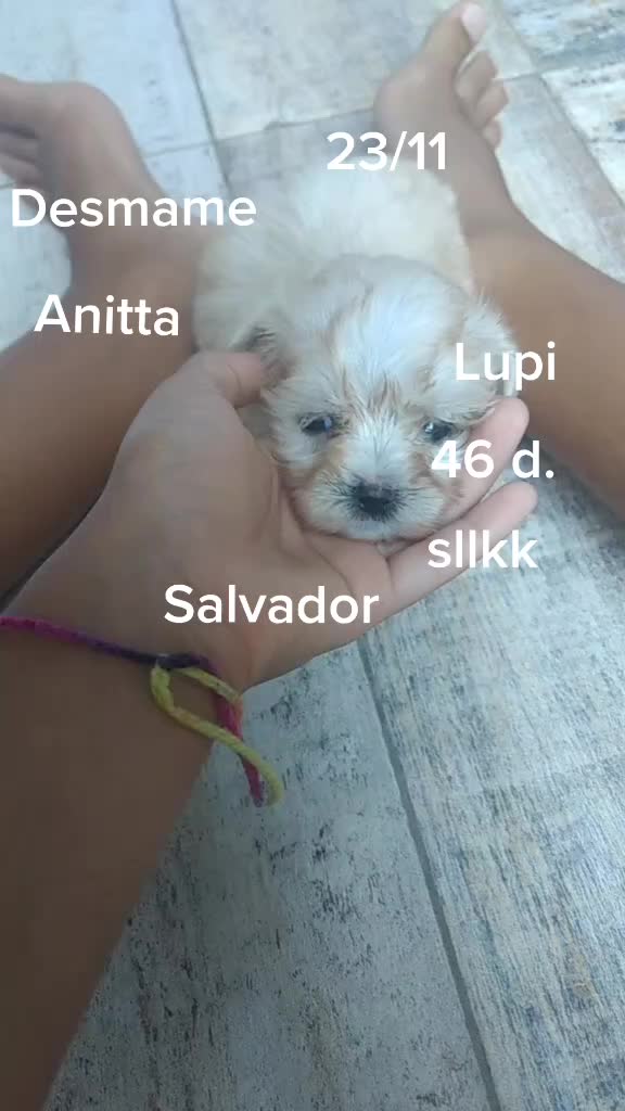 @user4842821905106