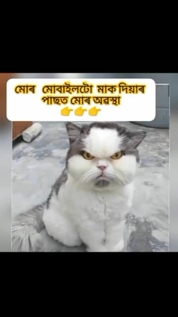 @riya nath