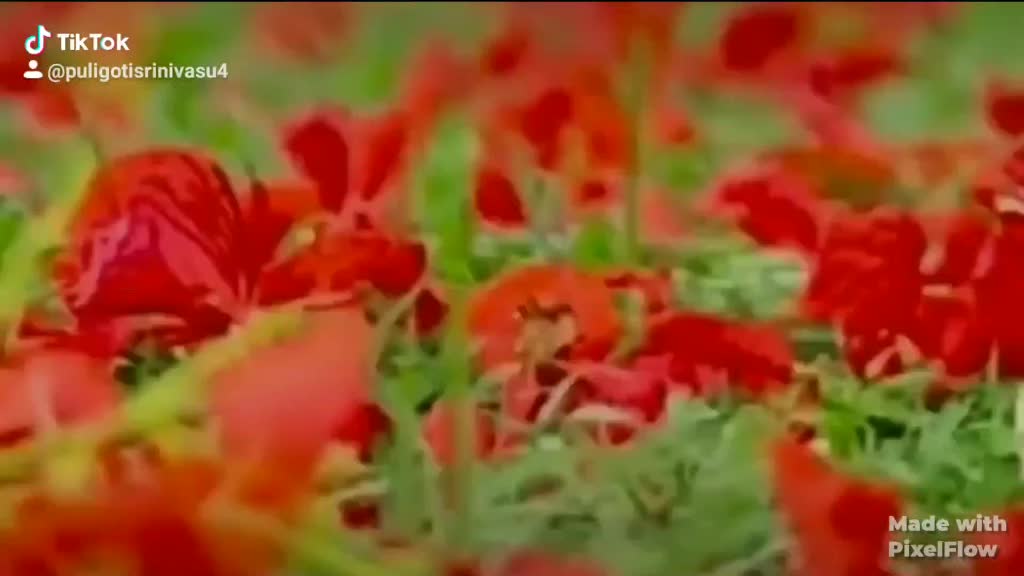 @srinivas143
