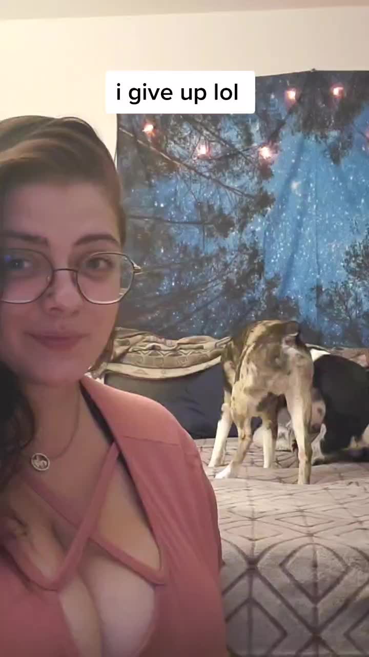 @lvgspeedy