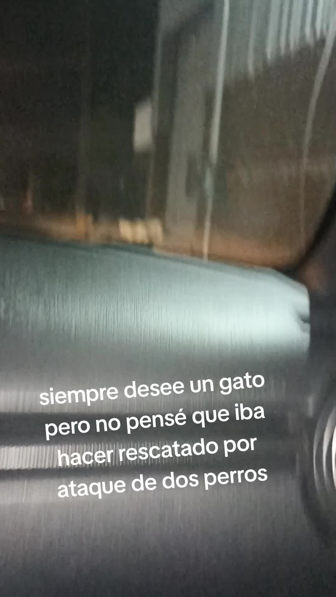 @Isabel Hernández
