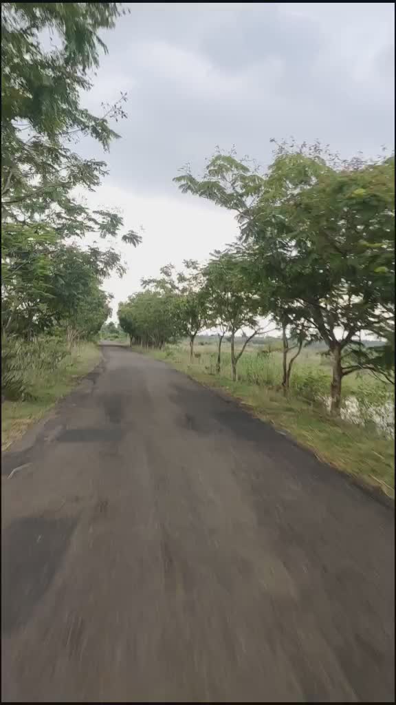@vasurock