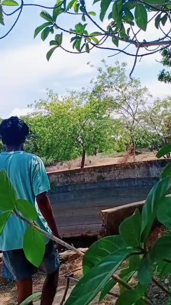 @Dio Surya VR