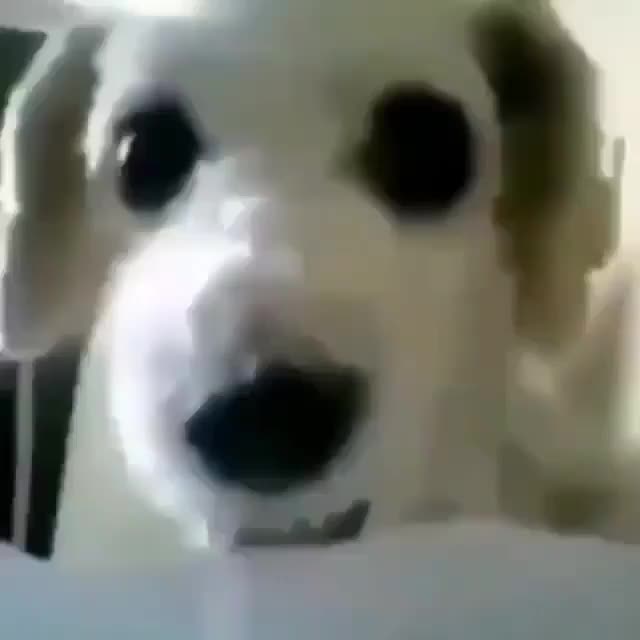 @👋