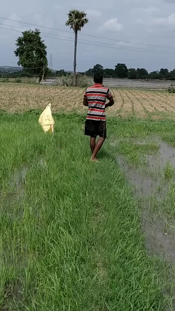 @anji yadav