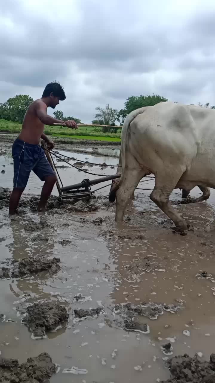 @రైతుబిడ్డ (ఆర్మీFAN)