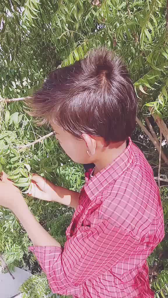 @mhakal084
