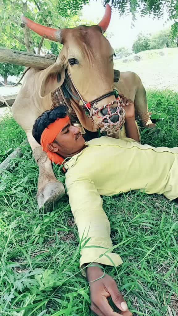 @Vaibhav Vhagade