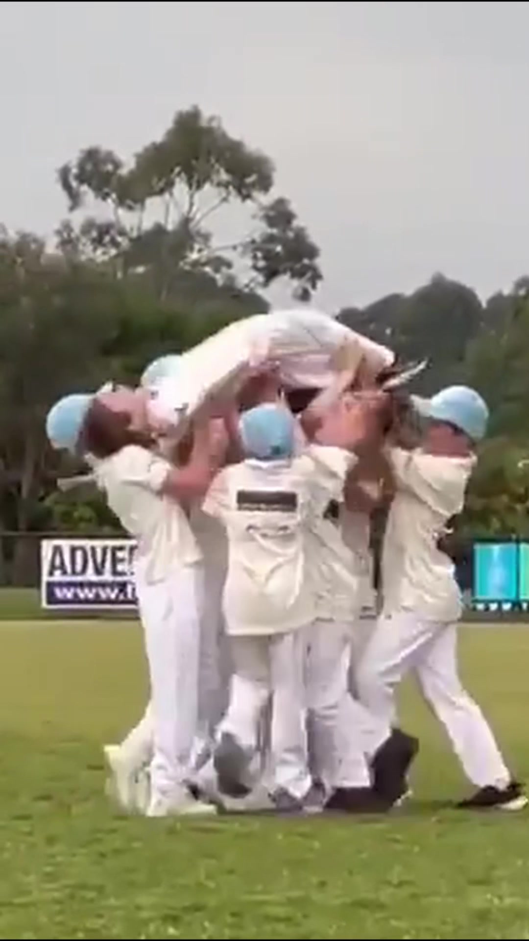 @Cricket Aus
