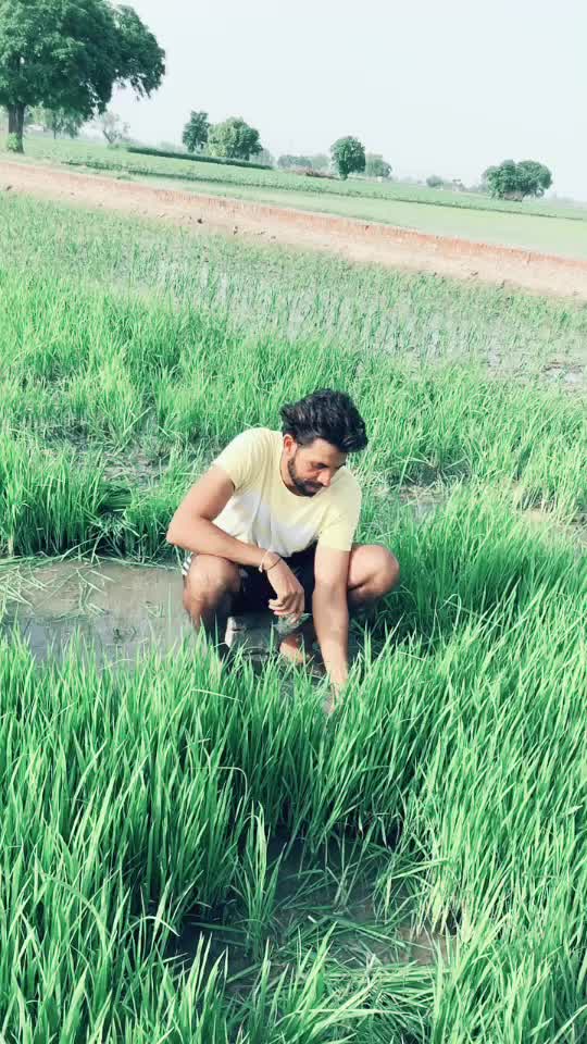@Harbhajangill