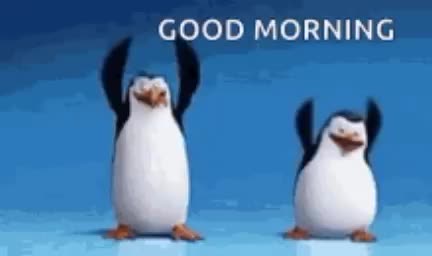 @TobyMagPinguine