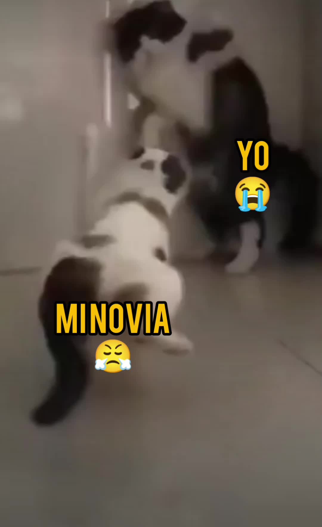 @JuniorHs💫