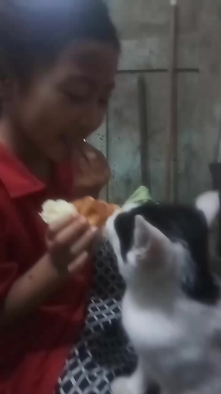 @fitrianifitri437