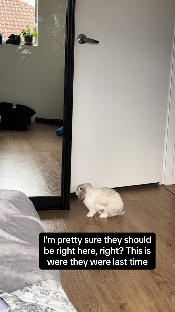 @LumiLops