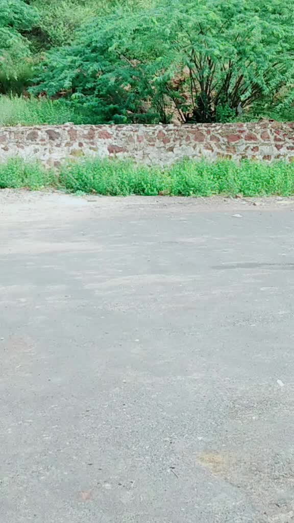 @⚡TEAM_ RAJASTHANI💥