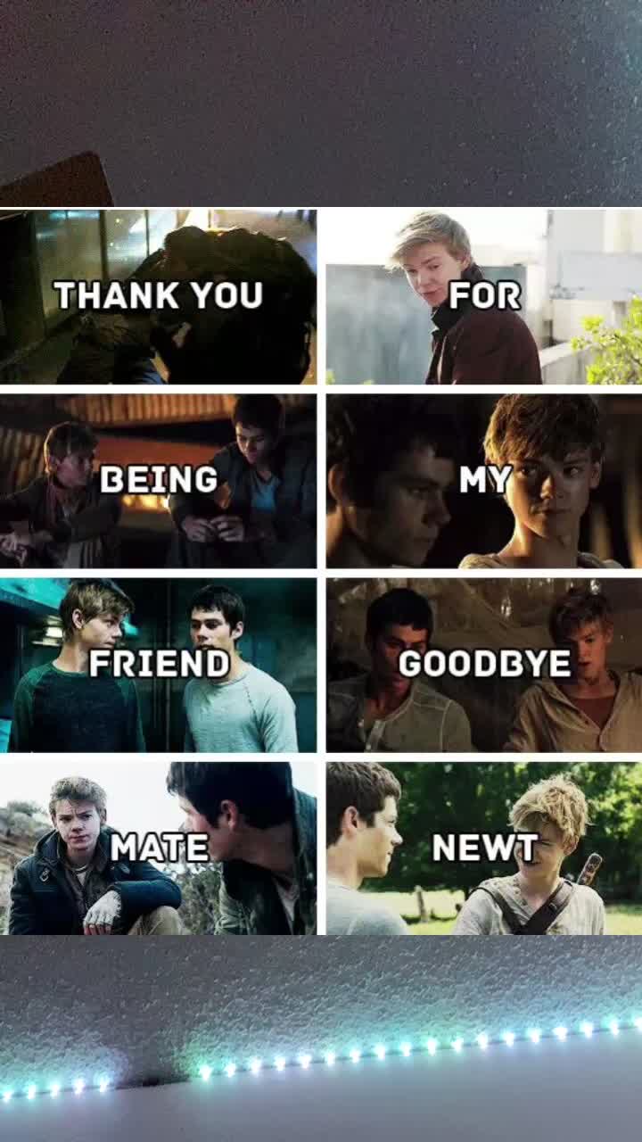 @Maze runner