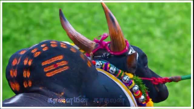 @Muthu Ganesh