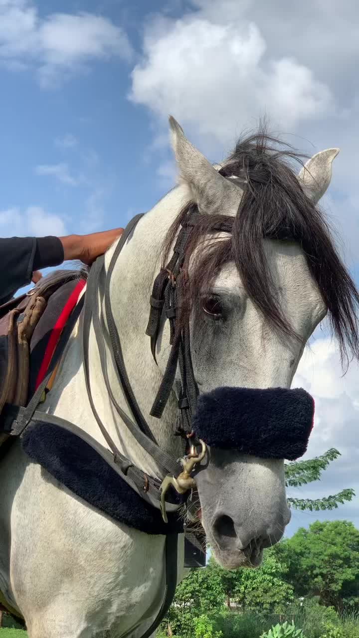 @Abuja horse riders