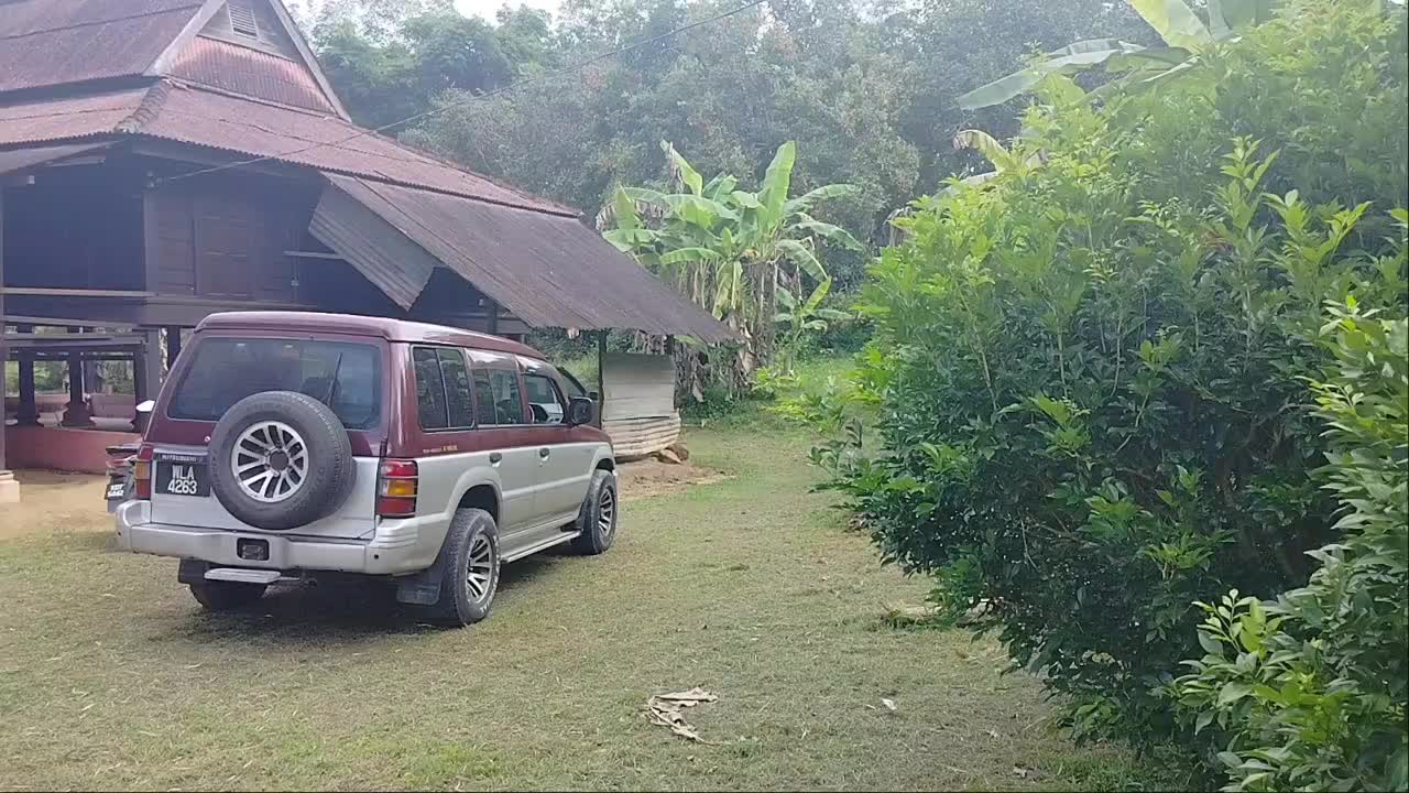 @At Tiermizie