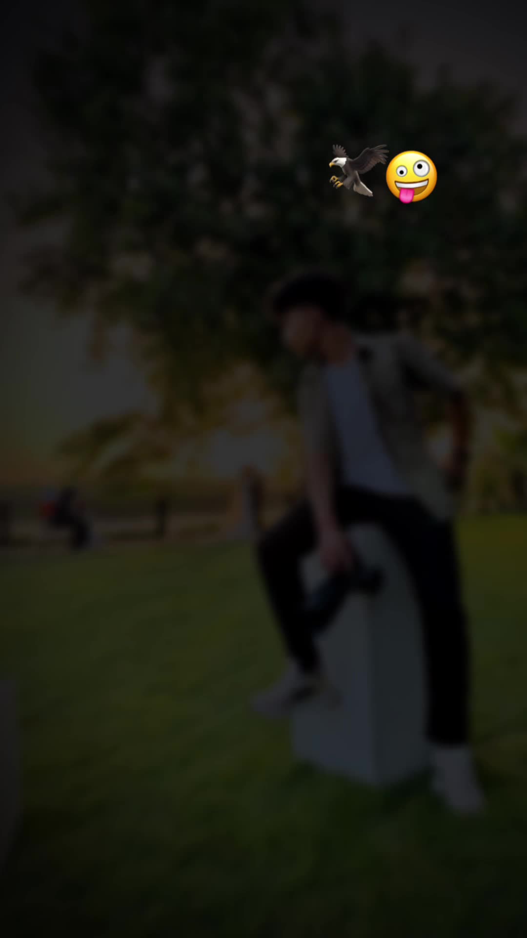 @Bahgat Photography