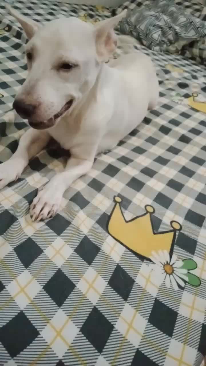 @berrysuga🍓