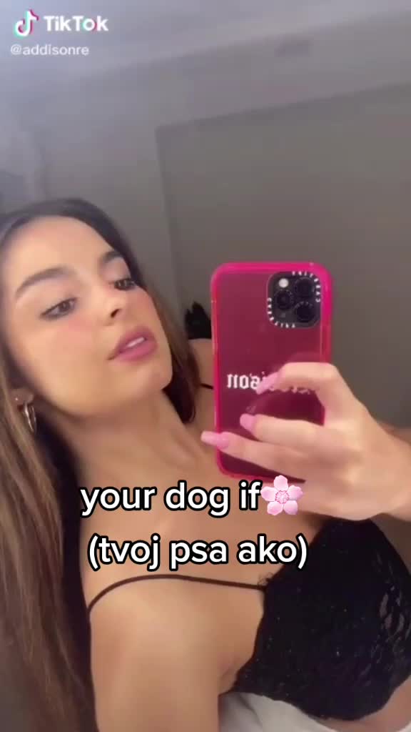 @love animals🥺❤