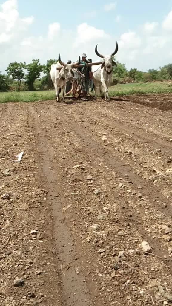 @Ajitsinh Sisodiya