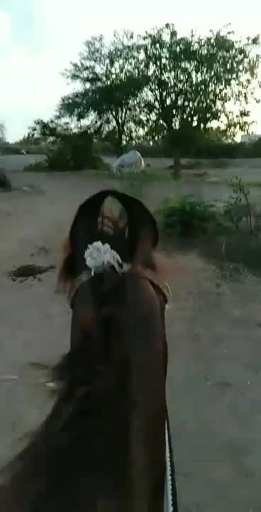 @vishvajit_sinh_9