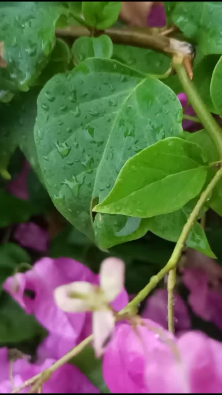 @D&atilde;ddy'&szlig; L&oslash;v&euml;r ❤❤