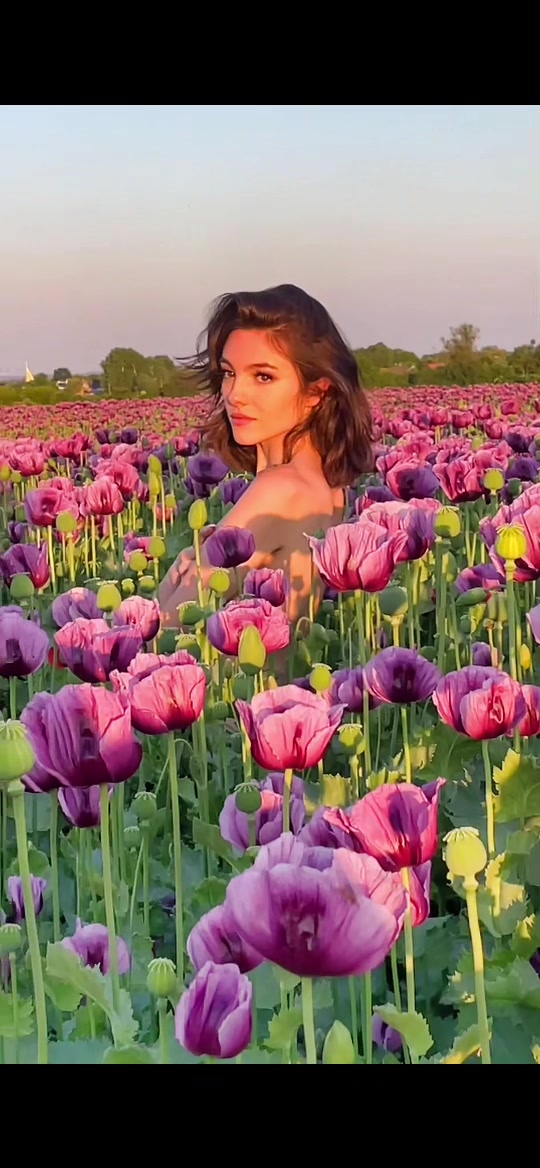 @🌺Veronika D&uacute;žekov&aacute;🌺