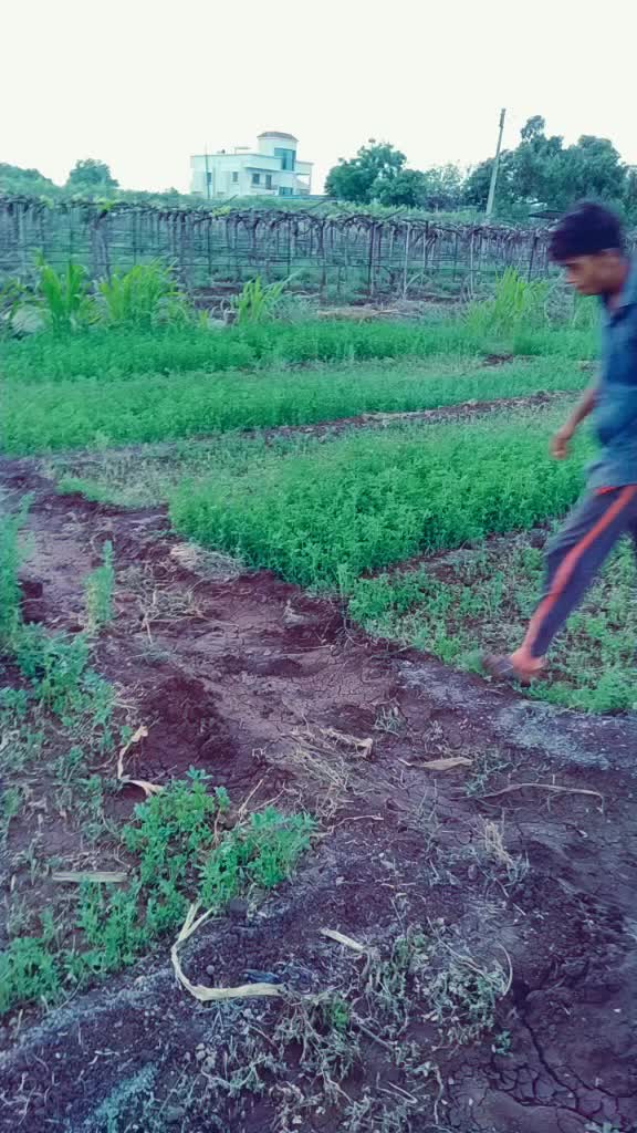 @Asif shaikh