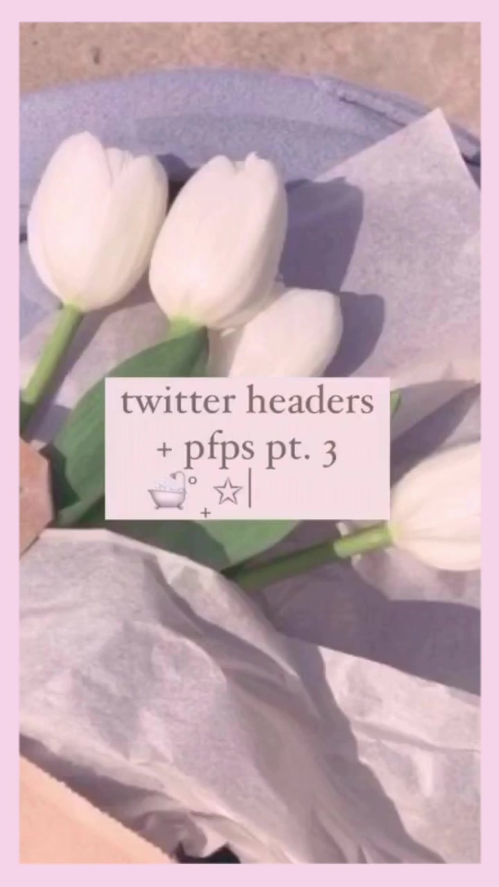 @˚ ◞ ♡ 🌸 🦢 ࿐