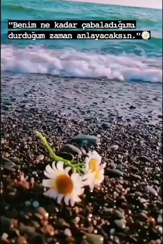 @Pervin_35