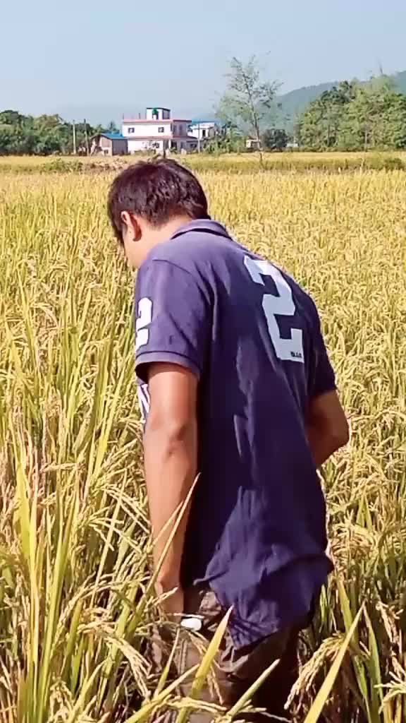 @Sabin Shrestha