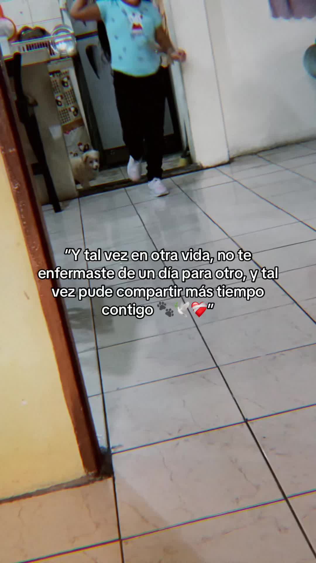 @Melanie Andrade