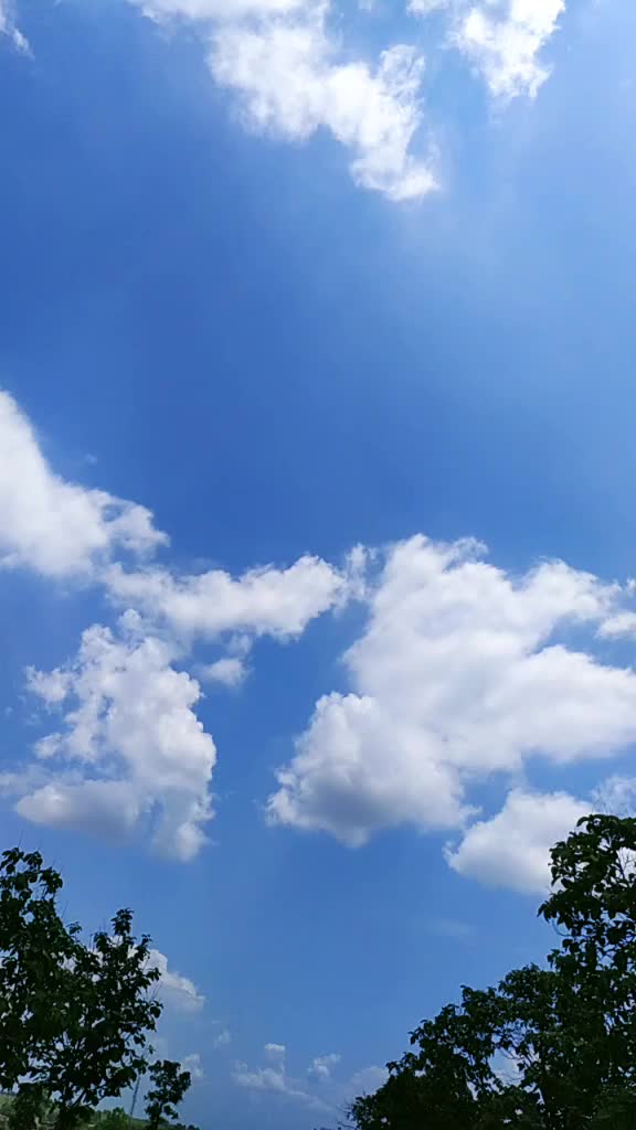 @राठोडाच्याशैलु