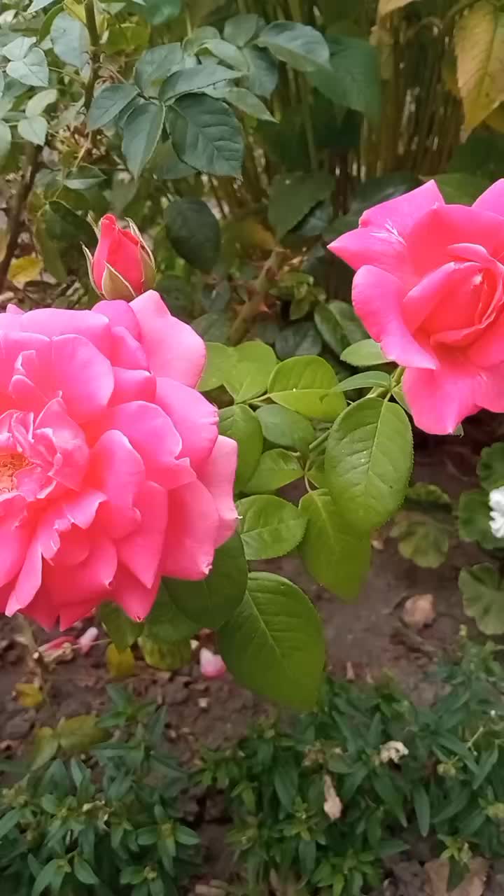 @Maxim080413